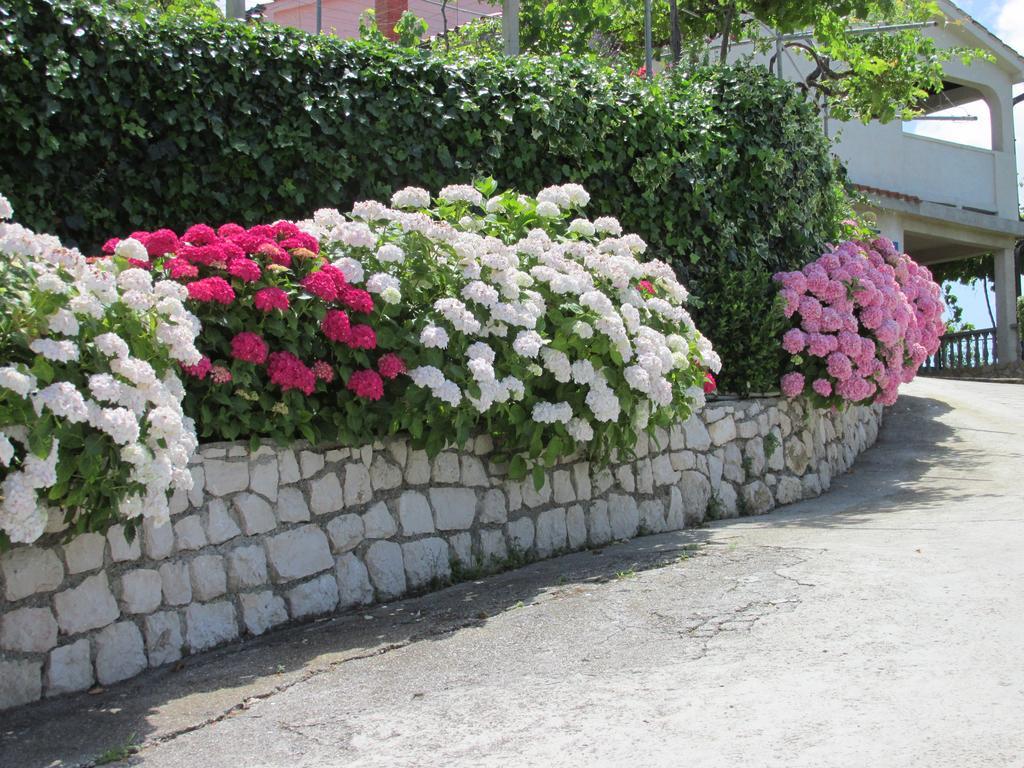 Apartmani Roza Lopar Exterior photo